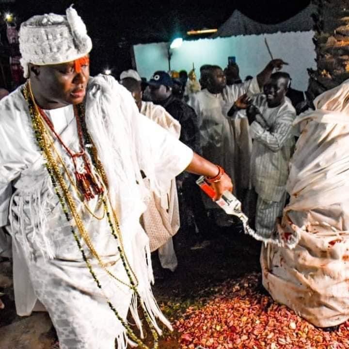 El Onii de Ile Ife propiciando la palmera sagrada de Ifá